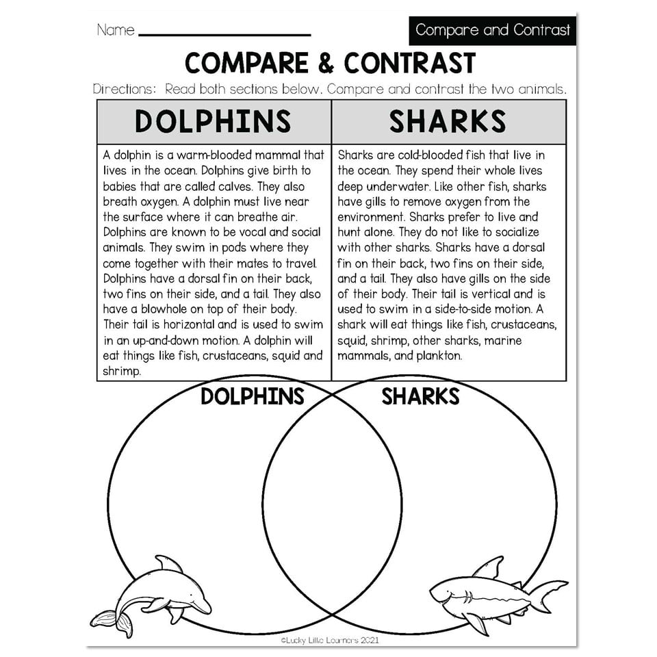 compare and contrast worksheet for 2nd grade