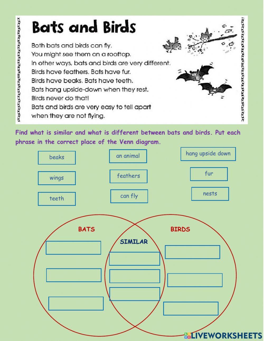 Compare and Contrast online exercise for Grade 3  