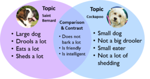 Compare and Contrast | English Composition 1