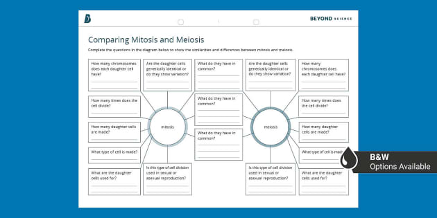 comparing mitosis and meiosis worksheet answers