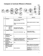 comparing mitosis and meiosis worksheet answers