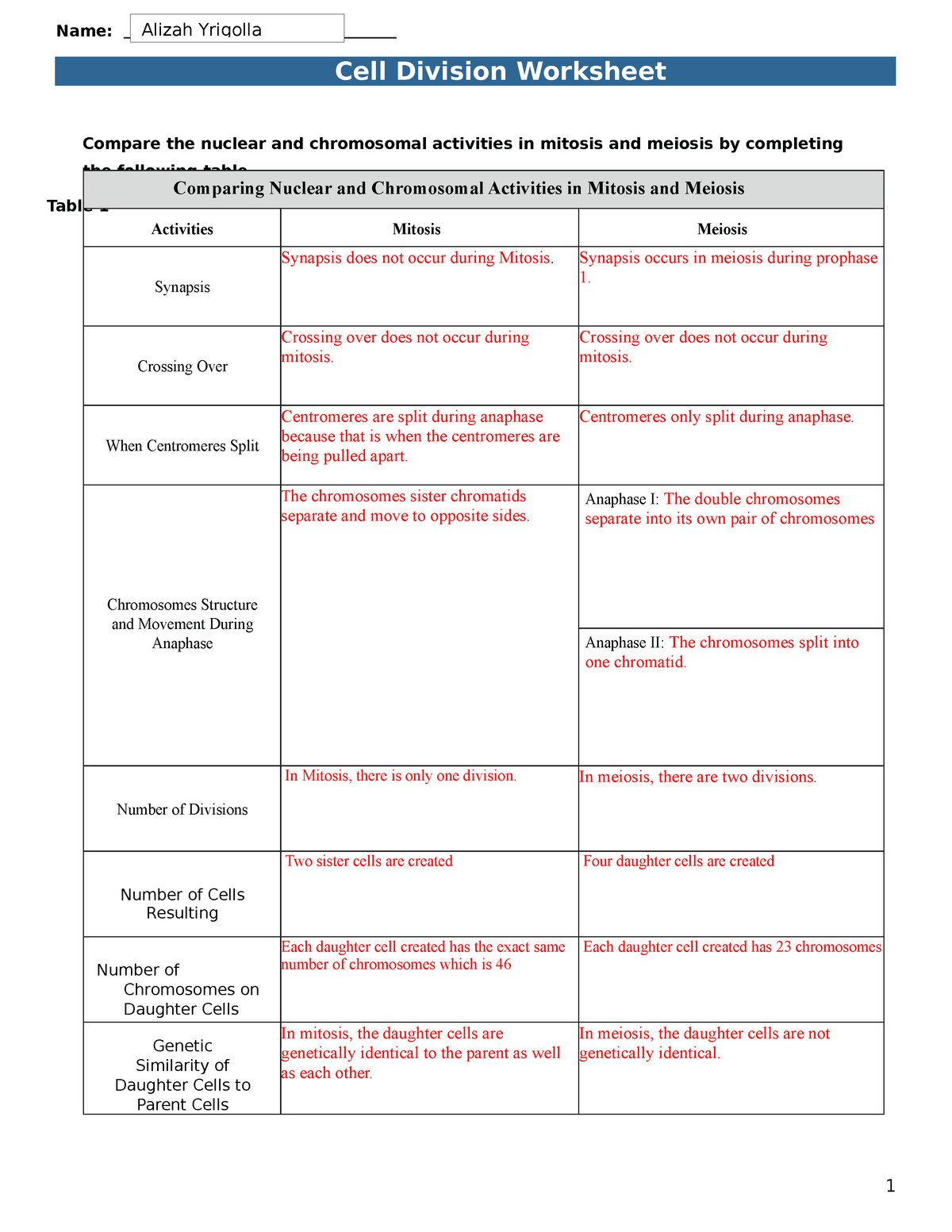 comparing mitosis and meiosis worksheet answers