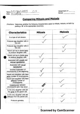 comparing mitosis and meiosis worksheet key