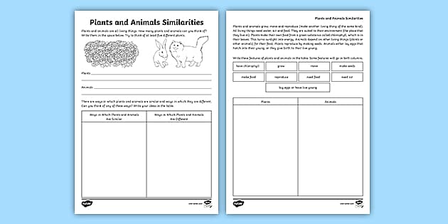 comparing plant and animal cells worksheet
