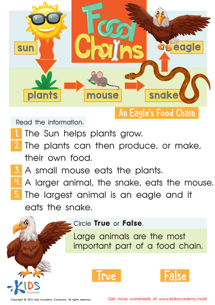 complete the food chains worksheet