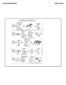 complete the food chains worksheet