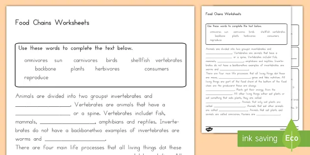 KS2 Food Chain Worksheet (Lehrer gemacht) - Twinkl