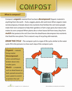 composting for kids worksheet