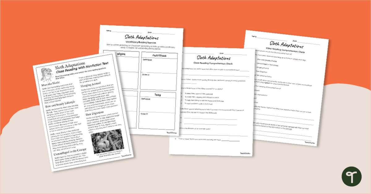 Sloth Adaptations - Comprehension Skills Worksheet | Teach Starter