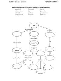 concept mapping skills worksheet answers