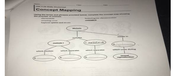 Solved) - Class HW 3.29 Skills Worksheet Concept Mapping concept ...