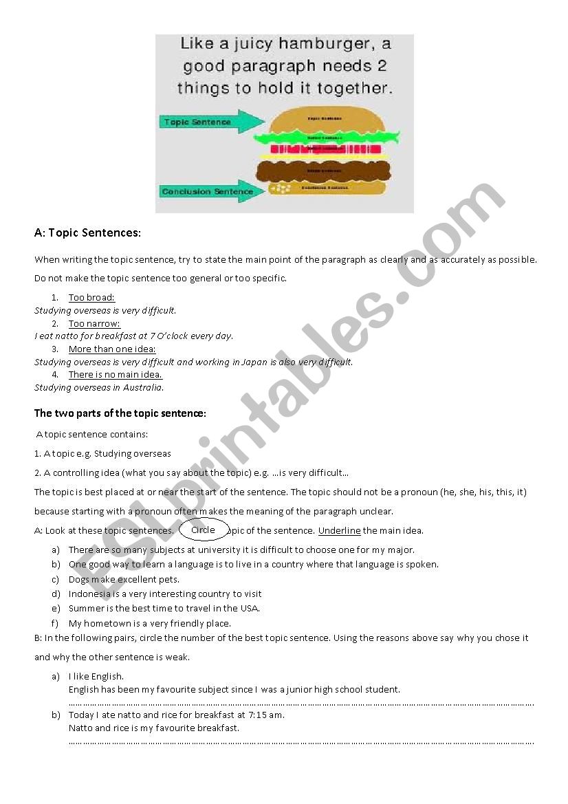 Topic, supporting and concluding sentences - ESL worksheet by backhoe3