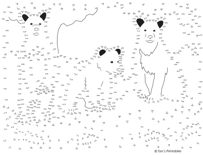 Bear Extreme Dot-to-Dot / Connect the Dots PDF
