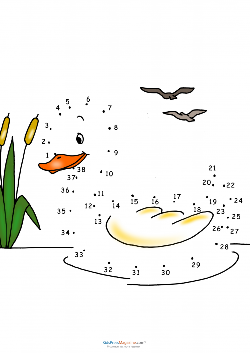 Connect the dots - Duck - KidsPressMagazine.com