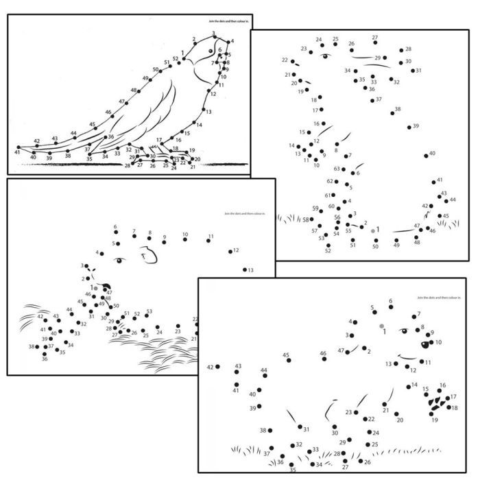 connect the dots worksheet for adults