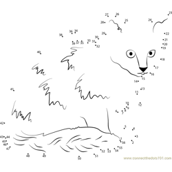 Cat Connect the Dots Worksheets Printable for Kids