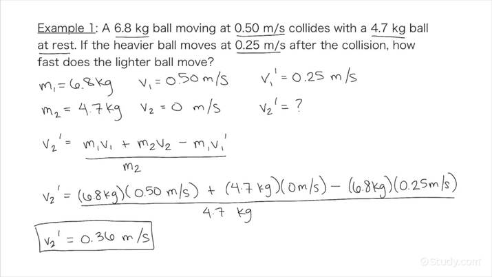 conservation of momentum worksheet