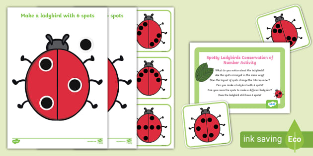 conservation of numbers worksheet