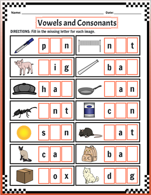 consonant and vowel worksheet