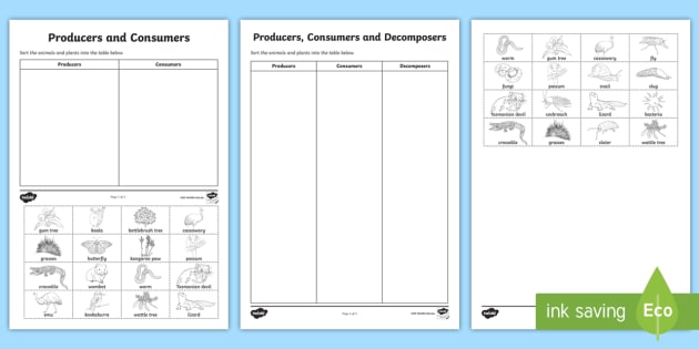 Producers, Consumers and Decomposers Sorting Worksheets