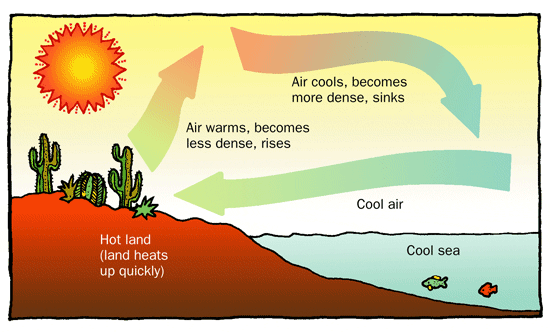 Convection Currents | What, How | A Level Geography Notes