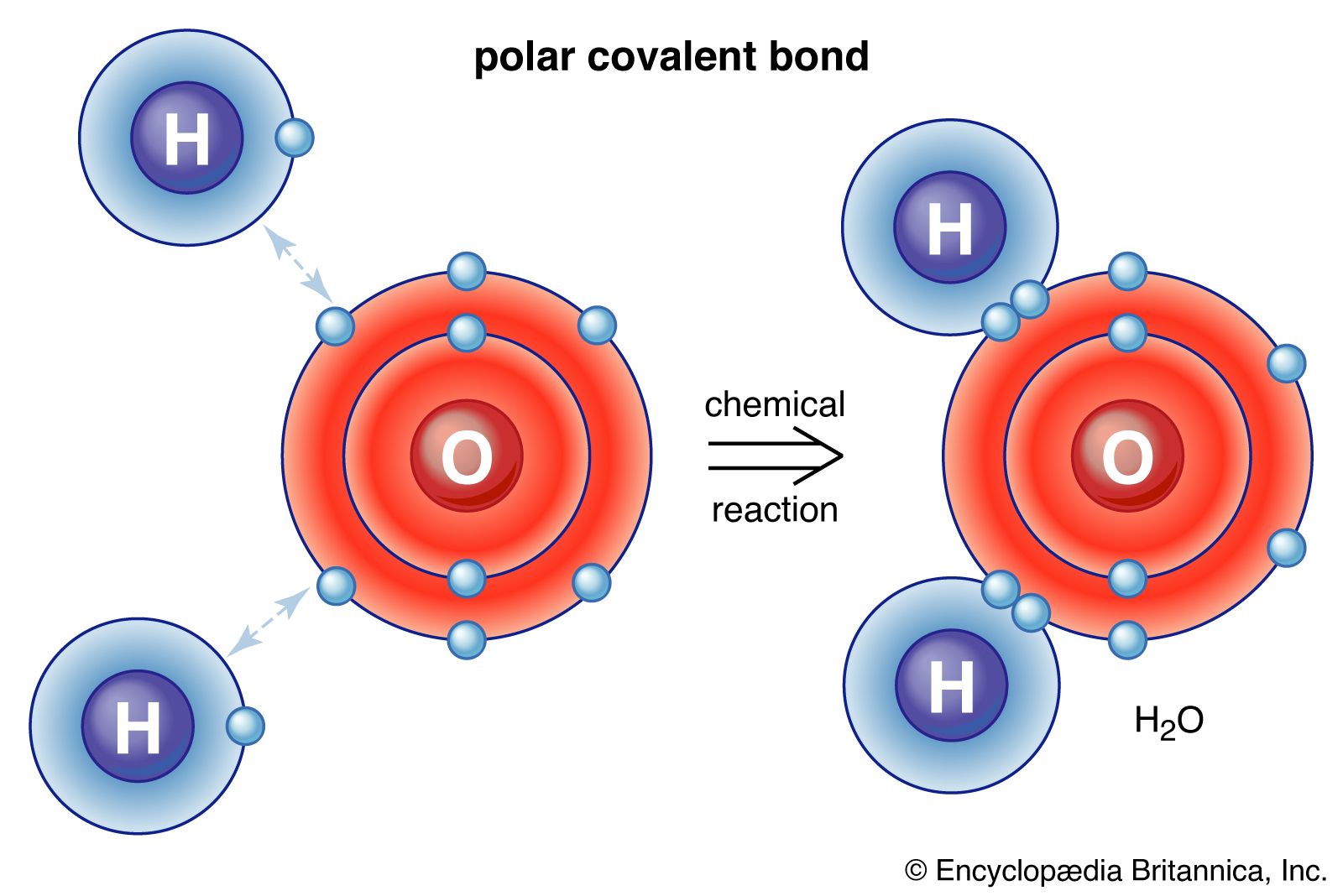 Covalent bond | Definition, Properties, Examples, &  Facts | Britannica