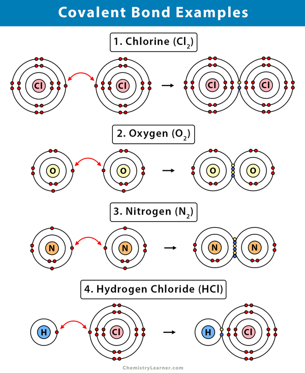 Covalent Bond: Definition, Types, and Examples