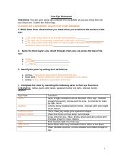 cow eye dissection worksheet answer key