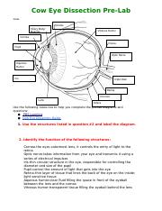 cow eye dissection worksheet answer key