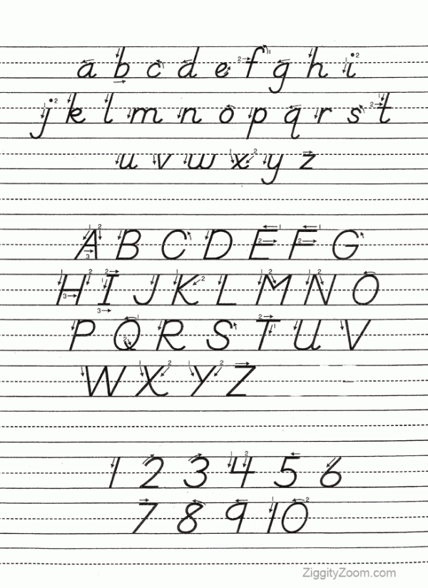 DNealian Alphabet Tracing Worksheet -