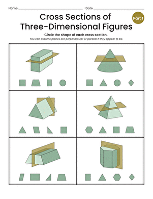 cross sections worksheet 7th grade