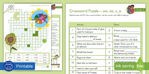 Grade 3 Phonics ow, oa, o_e Crossword Puzzle (teacher made)