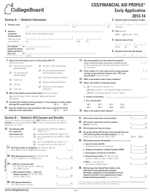 Css Profile Pdf - Fill Online, Printable, Fillable, Blank | pdfFiller