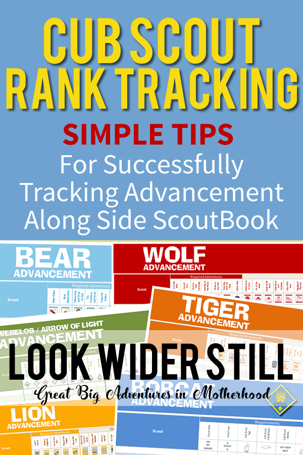 Cub Scouts Lion Badge Requirements Worksheets Library