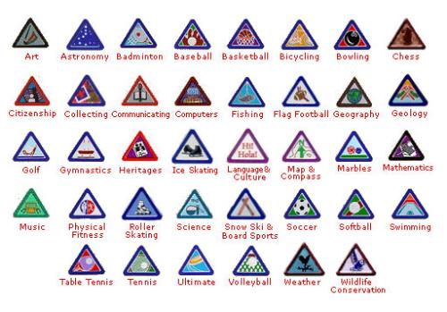 Public Pins and Beltloops - Cub Scout Pack 707 (Wilmore, Kentucky)
