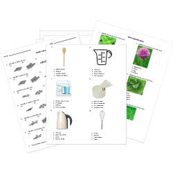 culinary arts worksheet
