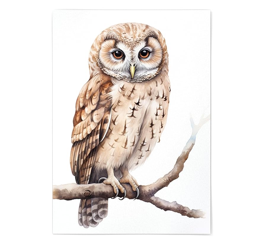 Cute Owl Coloring Pages - Printable - 8.5x11 - PNG (1493045)