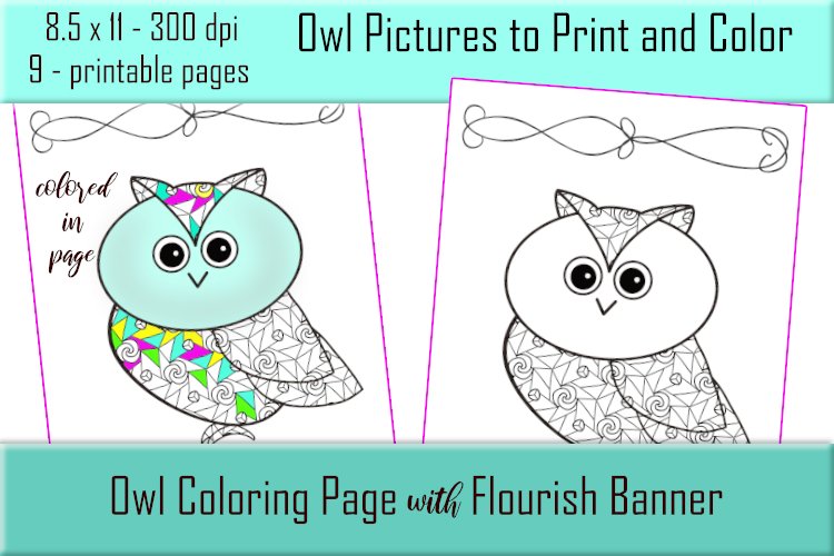 cute printable owl pictures