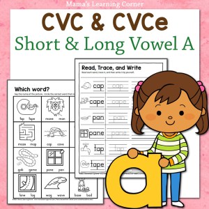 cvce word worksheet
