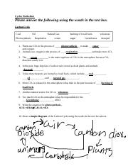 CycleWorksheet.docx - Cycles Worksheet Please answer the following ...