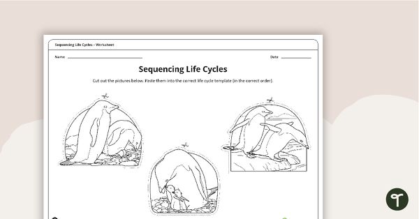 Sequencing Life Cycles Worksheet | Teach Starter