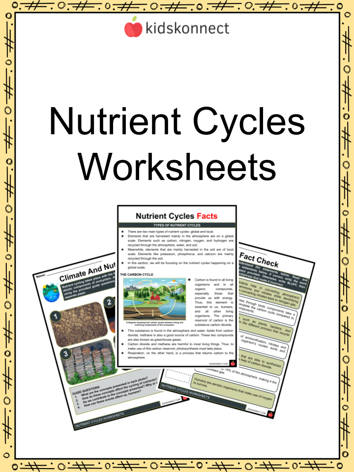 cycles worksheet