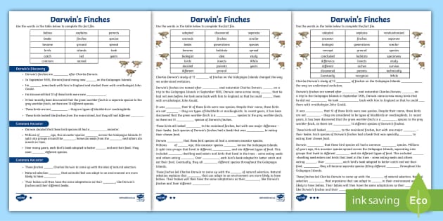 darwin finches worksheet