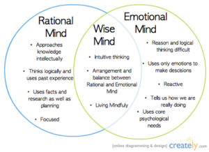 How Do We Use our Wise Mind? - Amber Bouda, LCSW