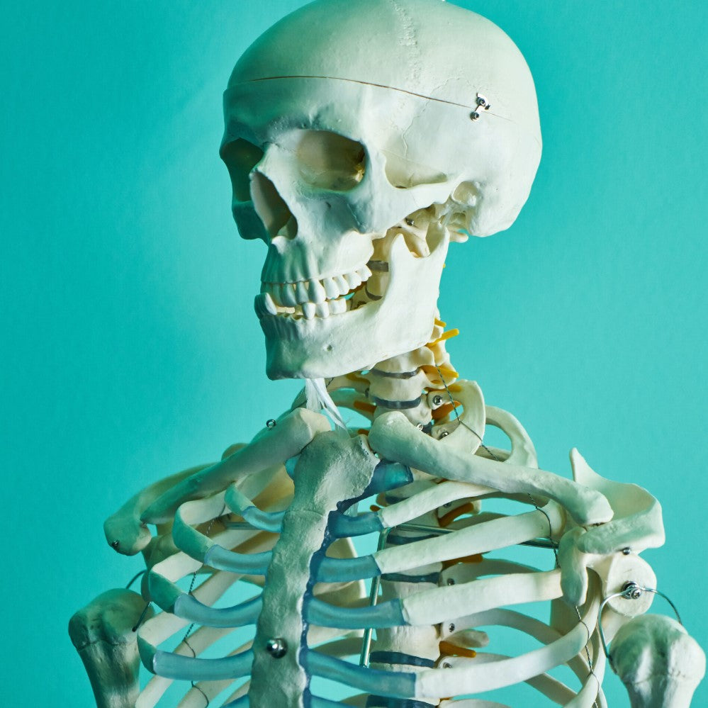 How long does it take for a body to decompose in the casket ...