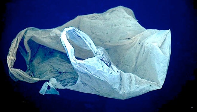 Teen Decomposes Plastic Bag in Three Months | WIRED
