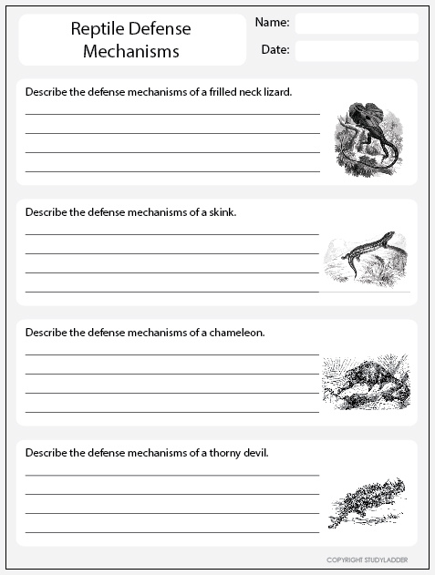 defense mechanism worksheet