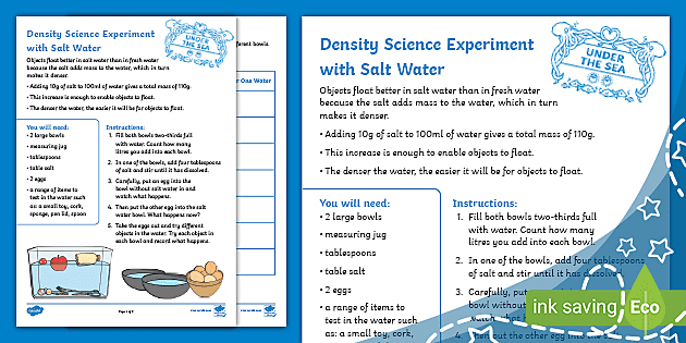 Density Science Experiment with Salt Water (teacher made)
