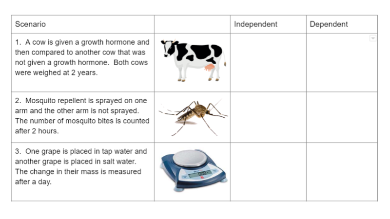 dependent and independent variables worksheet for middle school