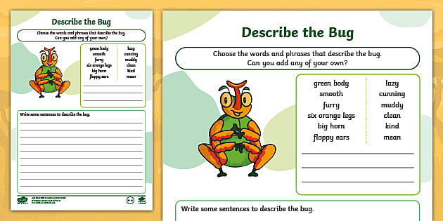 Describe the Bug Worksheet (teacher made) - Twinkl